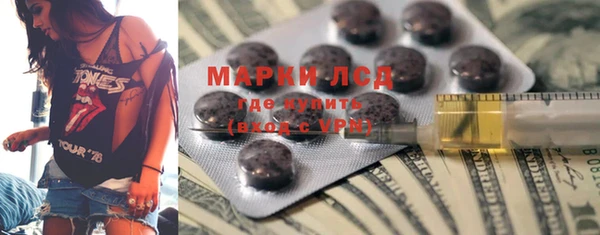 мяу мяу мука Белокуриха