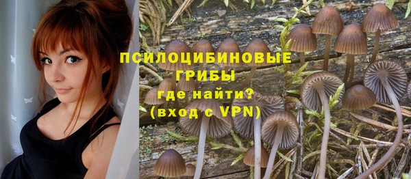 spice Беломорск