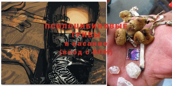 spice Беломорск