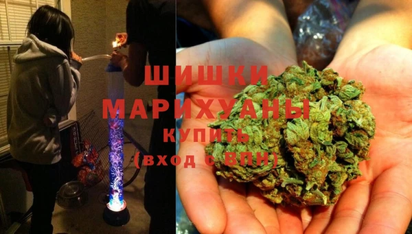 мяу мяу мука Белокуриха