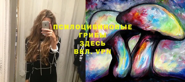 дмт Белоозёрский