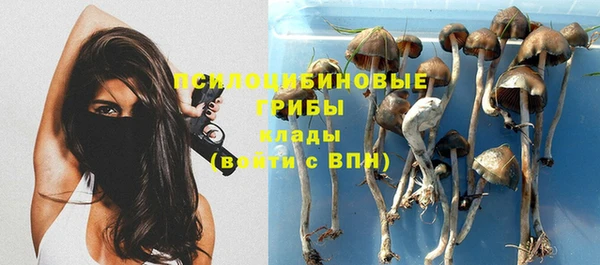 дмт Белоозёрский