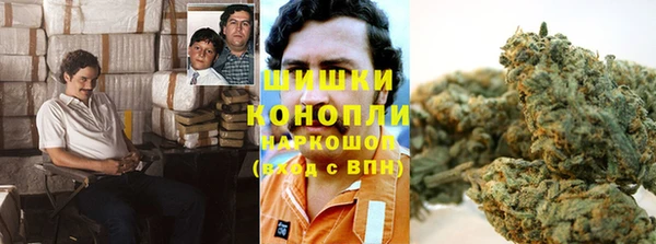 мяу мяу мука Баксан